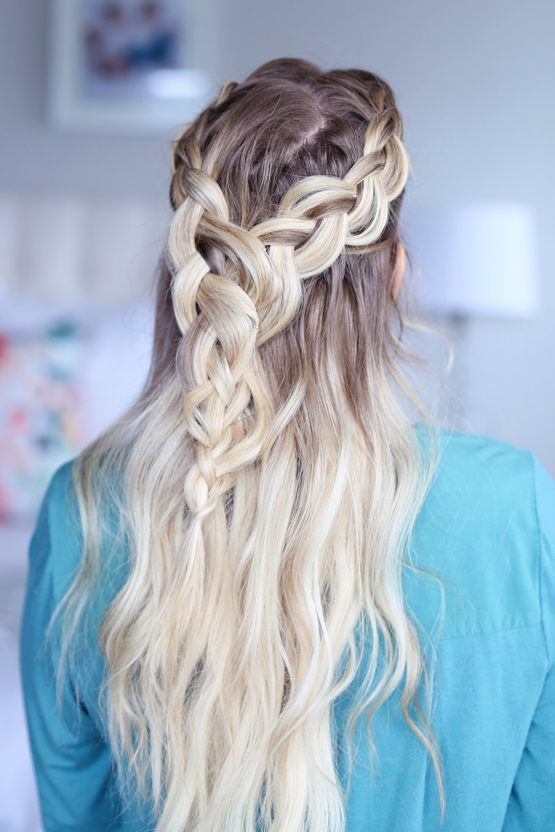 detailed hair with two braids