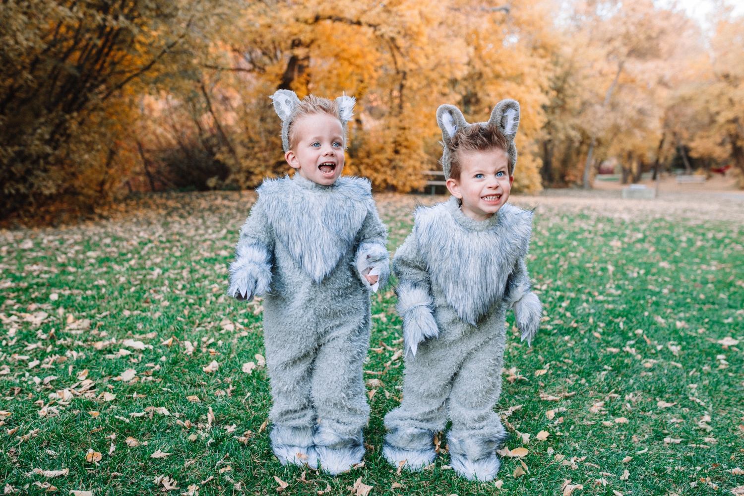 wolf costumes